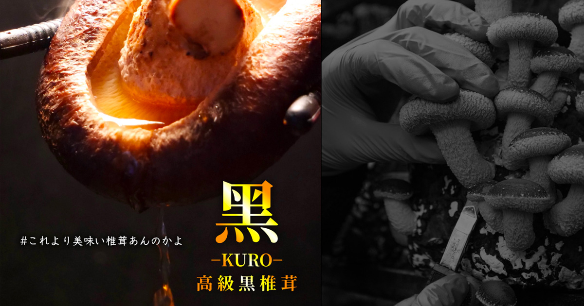 レンチナス奥羽伊勢 -