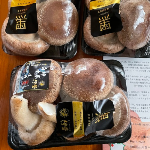 Y様